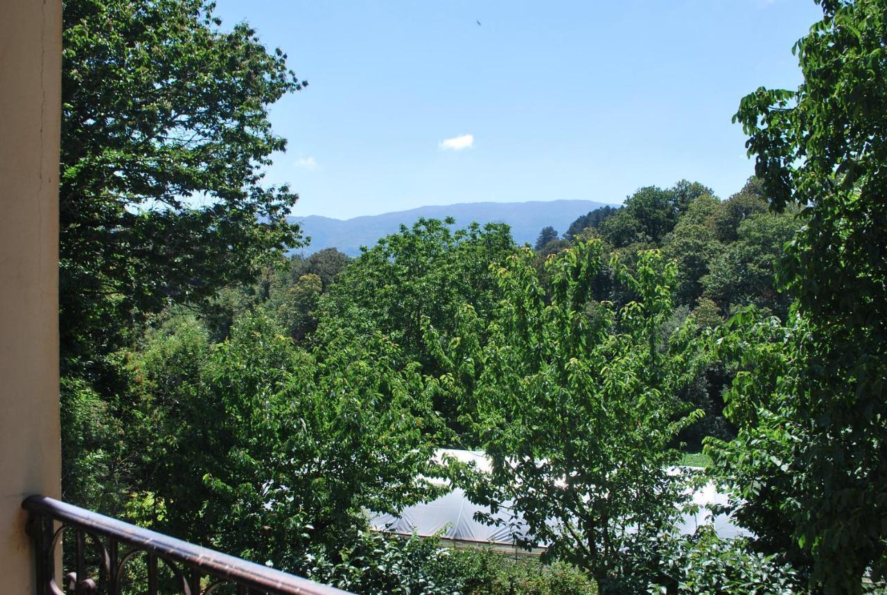 Agriturismo Roseto Villa Serra San Bruno Luaran gambar